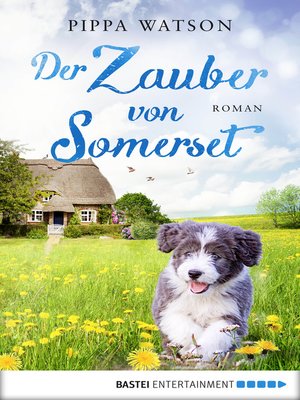 cover image of Der Zauber von Somerset